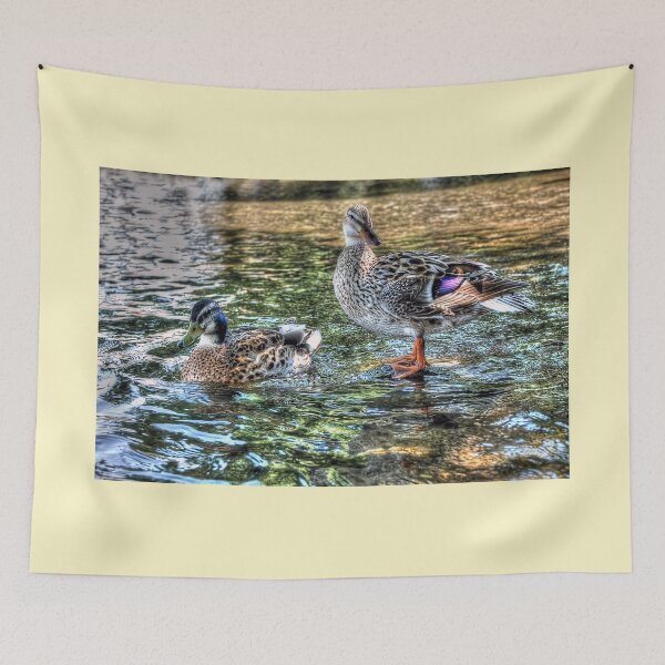 Item preview, Two Little Ducks designed and sold by Steve H Clark.