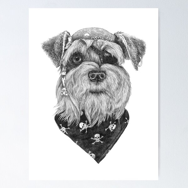 Item preview, Pirate Schnauzer designed and sold by Ronn Kools.