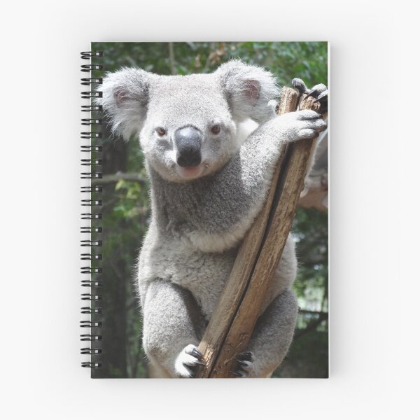 Item preview, Koala designed and sold by Narelle Richardson.
