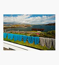 Oh the Colours of My Garden Photographic Print