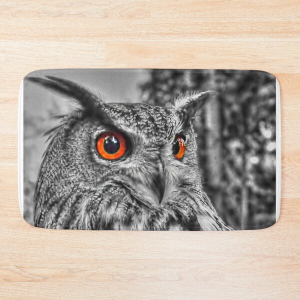 Item preview, Long Eared Owl (Black and White) designed and sold by Steve H Clark.