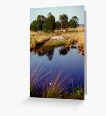Fochtelooer veen Greeting Card