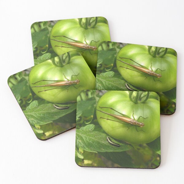 Item preview, Tomato Hopping designed and sold by Elizabeth "Tibby" Steedly.
