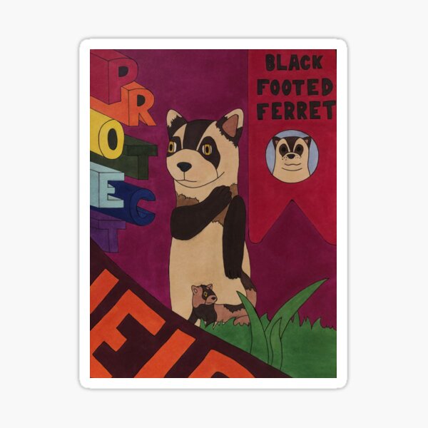 Black Footed Ferret Sticker