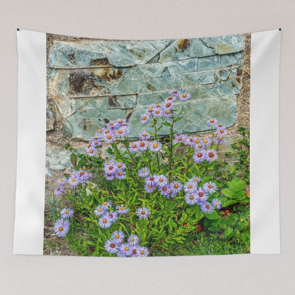 Item preview, Wildflowers and Stone. Glacier National Park designed and sold by Bryan Spellman.