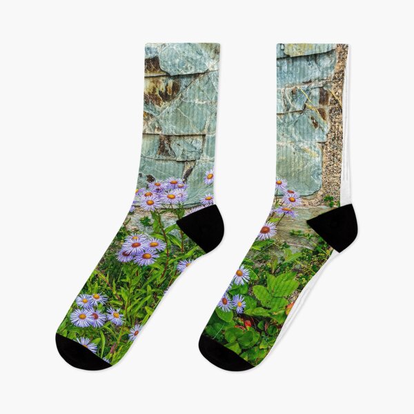 Item preview, Wildflowers and Stone. Glacier National Park designed and sold by Bryan Spellman.
