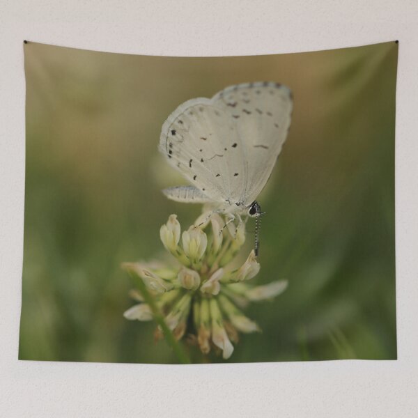 Item preview, Spring Azure designed and sold by StampCity.