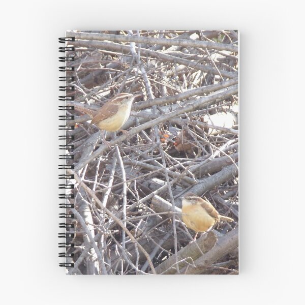 Item preview, Gossip Chickadees designed and sold by MelodyHoward.