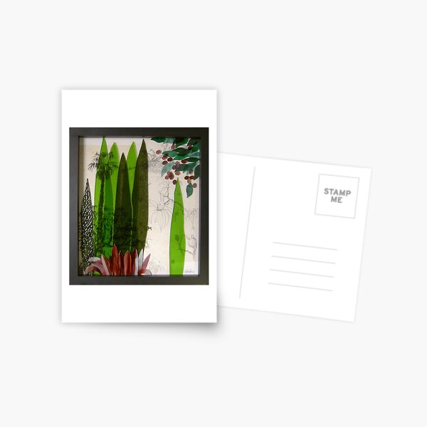 Doreanthes and Syzygium Postcard