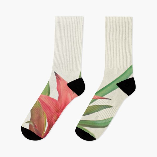Item preview, Bromelia designed and sold by Cassia Beck.