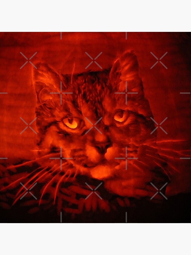 Tabby Cat on a Pumpkin 2 by MotiBlack