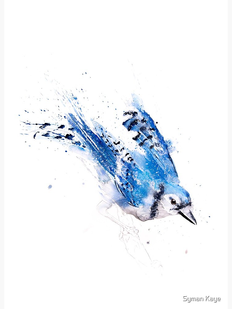 Blue Jay and his Purple Flower - Bird Art - Posters and Art Prints