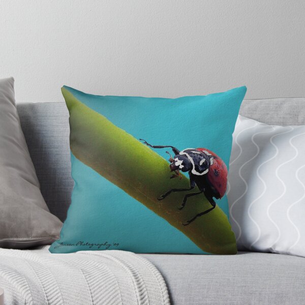 Artikelvorschau, In The Spot Light  ( Ladybug Series ) entworfen und verkauft von Carla Jensen.