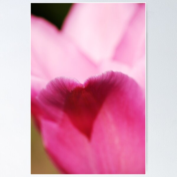 Item preview, Dreamy Pink designed and sold by sjlphotography.