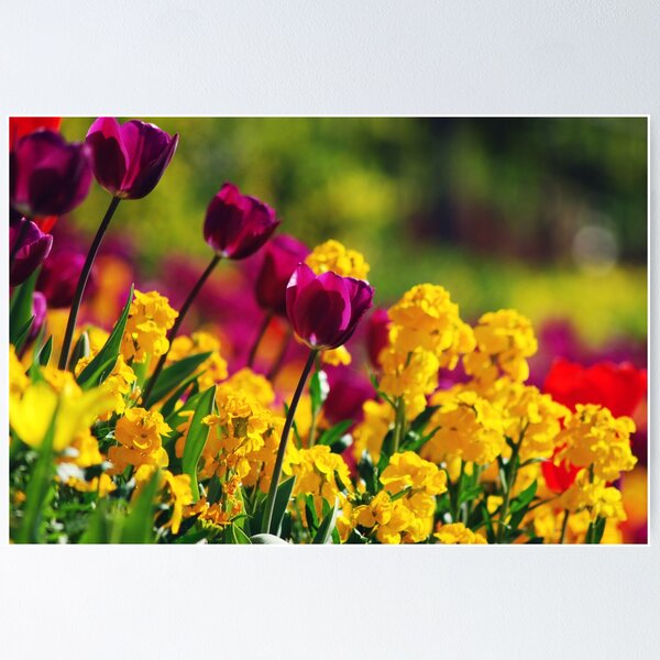 Item preview, Spring Flowers designed and sold by sjlphotography.