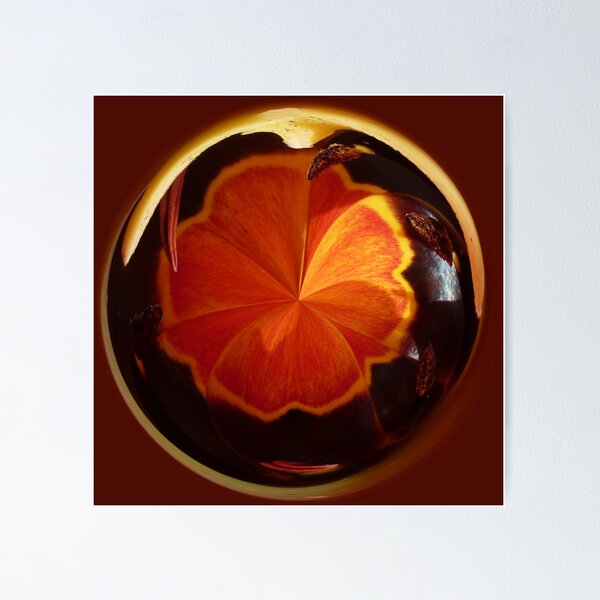 Item preview, Tulip in spherical designed and sold by Robert Gipson.