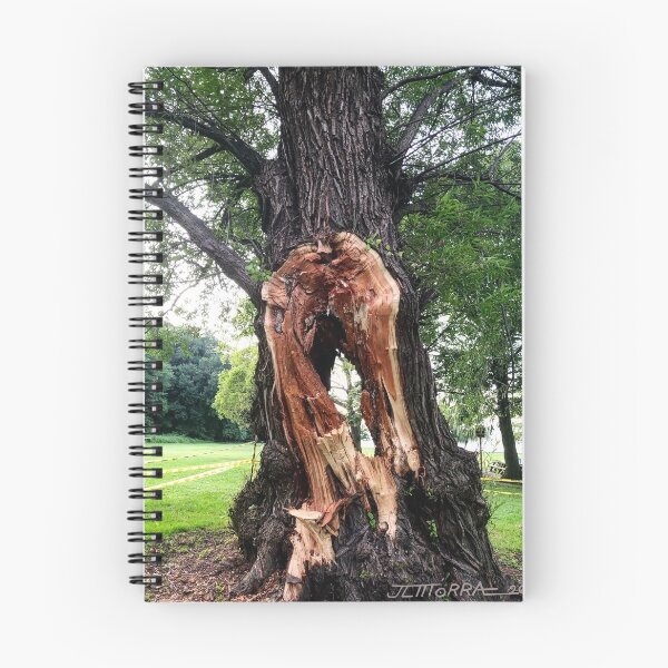 Item preview, Lightning Strike designed and sold by Janet Morra.