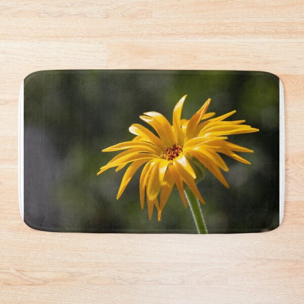Item preview, Soaking up the Sun designed and sold by Kasia Design.