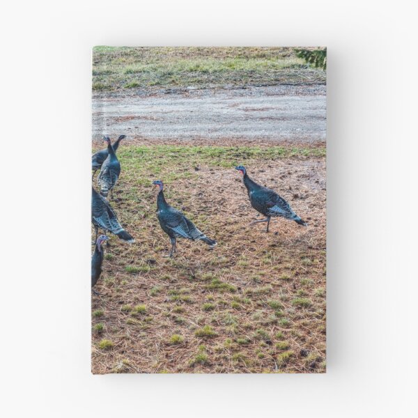 Item preview, Turkey in the Straw designed and sold by Bryan Spellman.