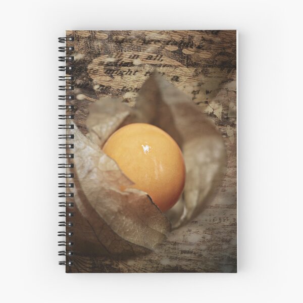 Item preview, Beautiful Physalis designed and sold by Elisabeth Lucas.
