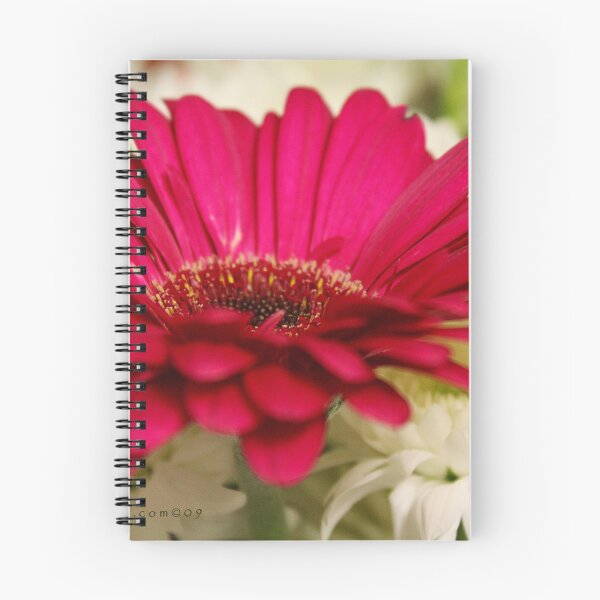 Item preview, Gerber rosado designed and sold by Katagram.