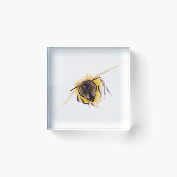 Item preview, Bee Painting Feather Watercolour Painting by Syman Kaye - Modern Bee Art designed and sold by Syman Kaye.