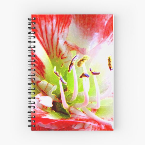 Aperçu de l'œuvre Amaryllis No 40 créée et vendue par ArtOfE.