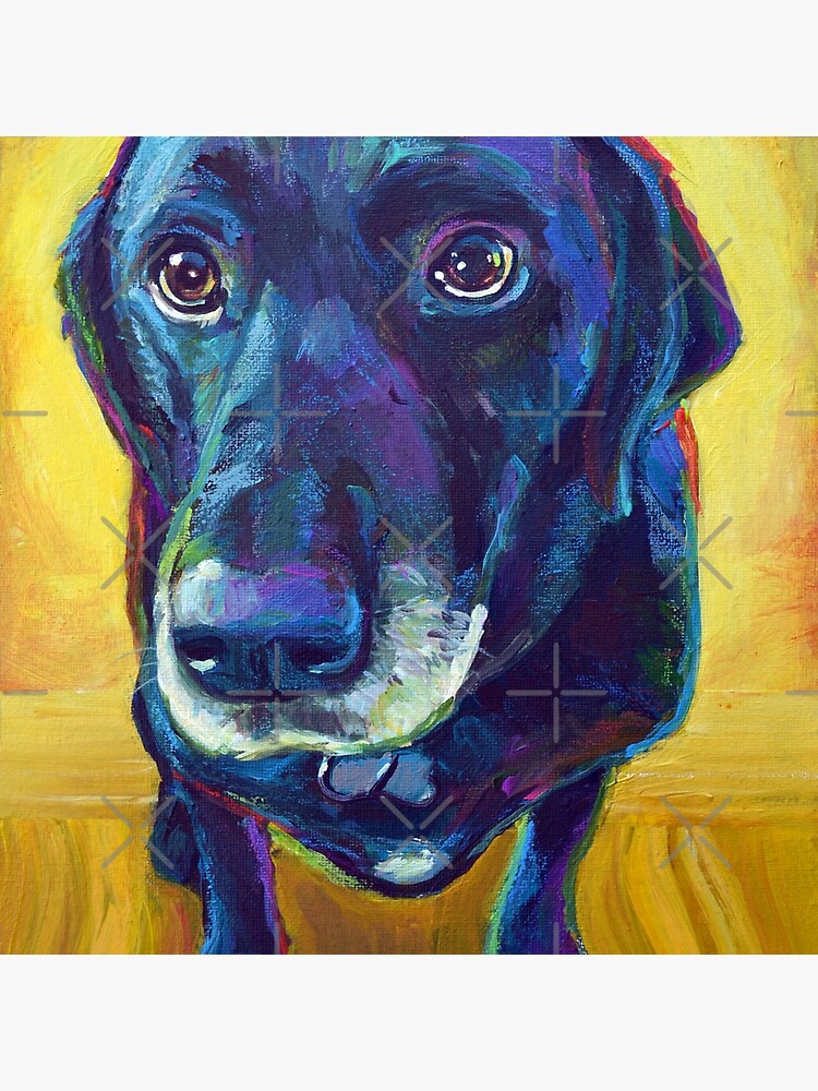 Big-Eyed Black Labrador by RobertPhelpsArt