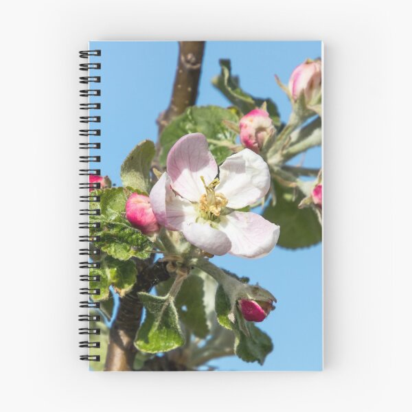 Item preview, spring designed and sold by Katja LebenFreude.