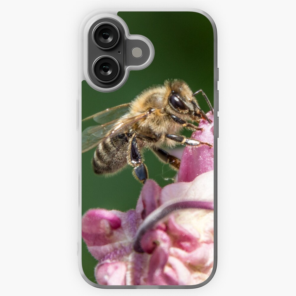 Artikel-Vorschau von iPhone Flexible Hülle, designt und verkauft von Igelchen.