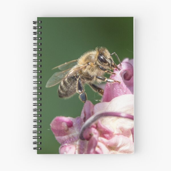 Item preview, bee designed and sold by Katja LebenFreude.