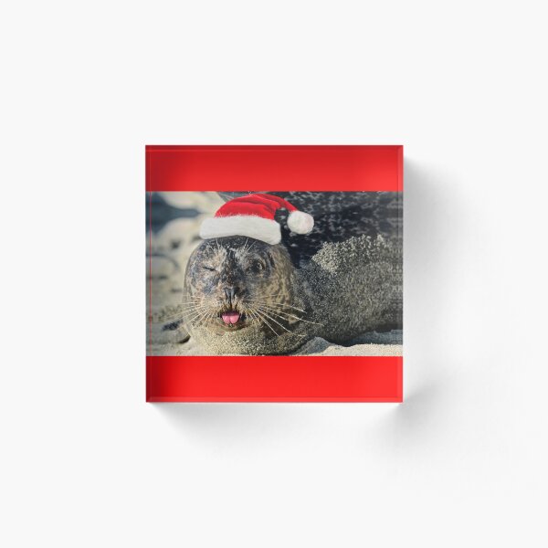 Holiday Harbor Seal Acrylic Block