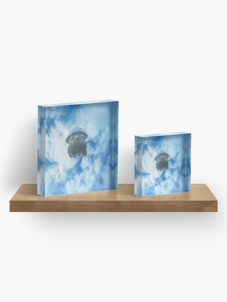 Alternate view of Jelly in Jellyfish Lake, Palau Acrylic Block