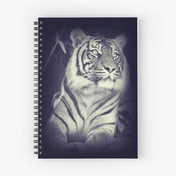 Item preview, Black & White Sumatran Tiger designed and sold by SkatingGirl.