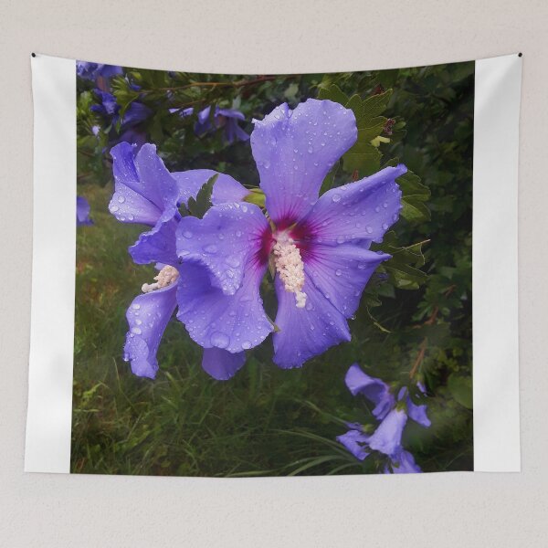 Item preview, Rose of Sharon designed and sold by PATRICK SHELTON.