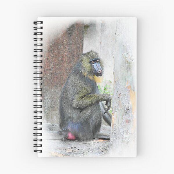 Item preview, Mandrill designed and sold by SkatingGirl.