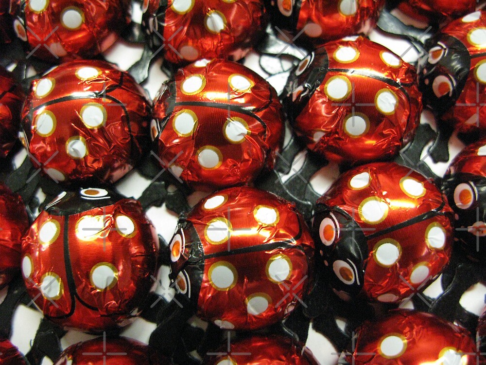 "Chocolate Ladybugs " by CavyGirl Redbubble