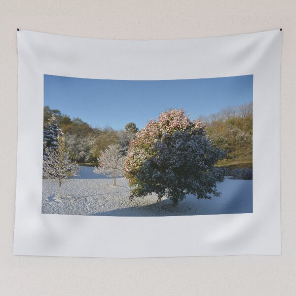 Item preview, Early Morning Sun designed and sold by ashton-viola.