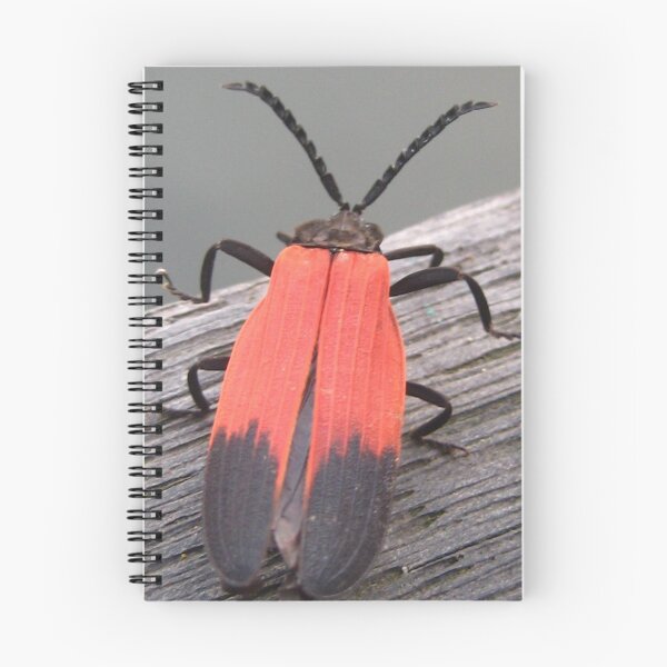 Item preview, Jungle Bug designed and sold by justineb.