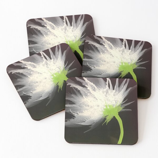 Item preview, White breezy flower designed and sold by Gill Barrett Art.