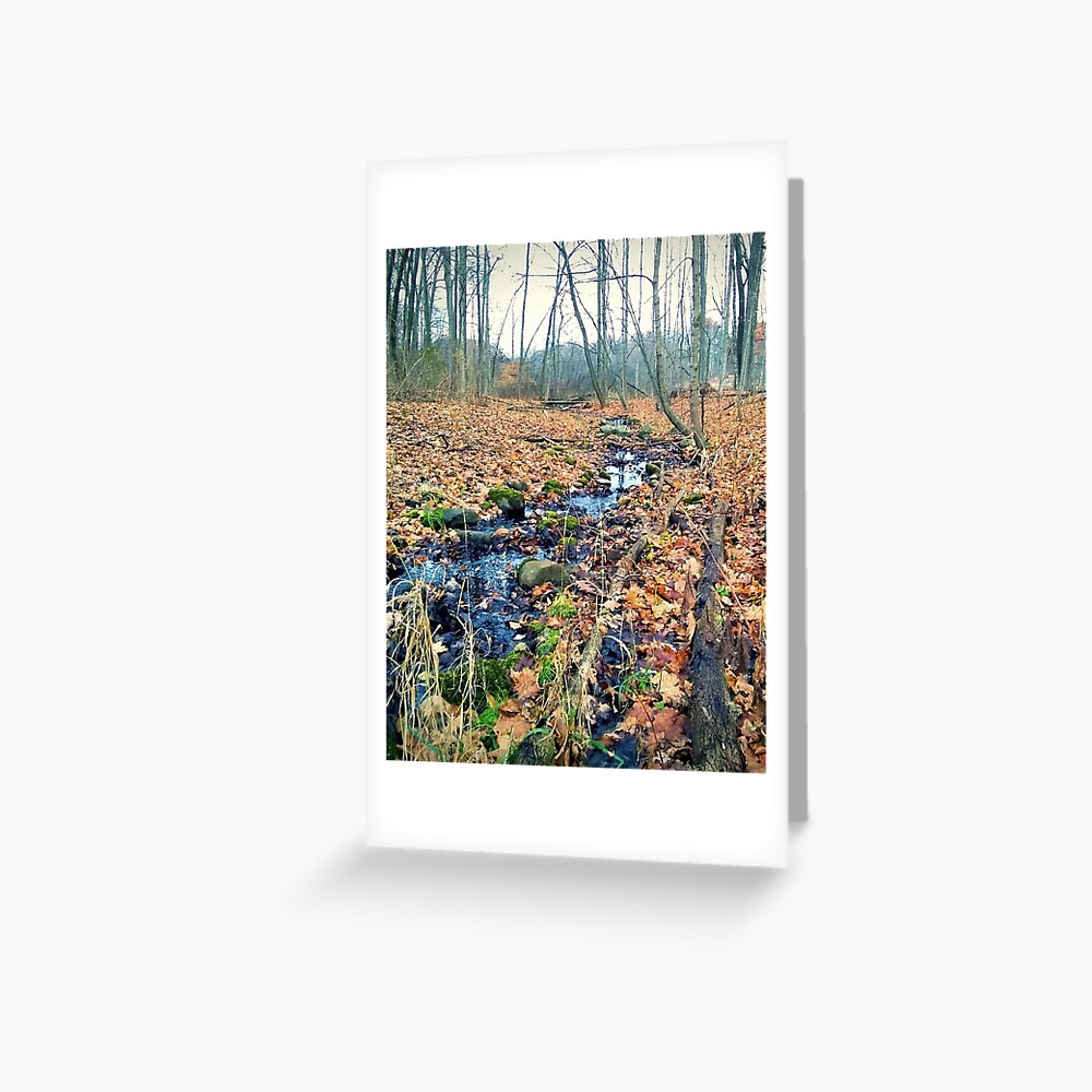 Stream Greeting Card