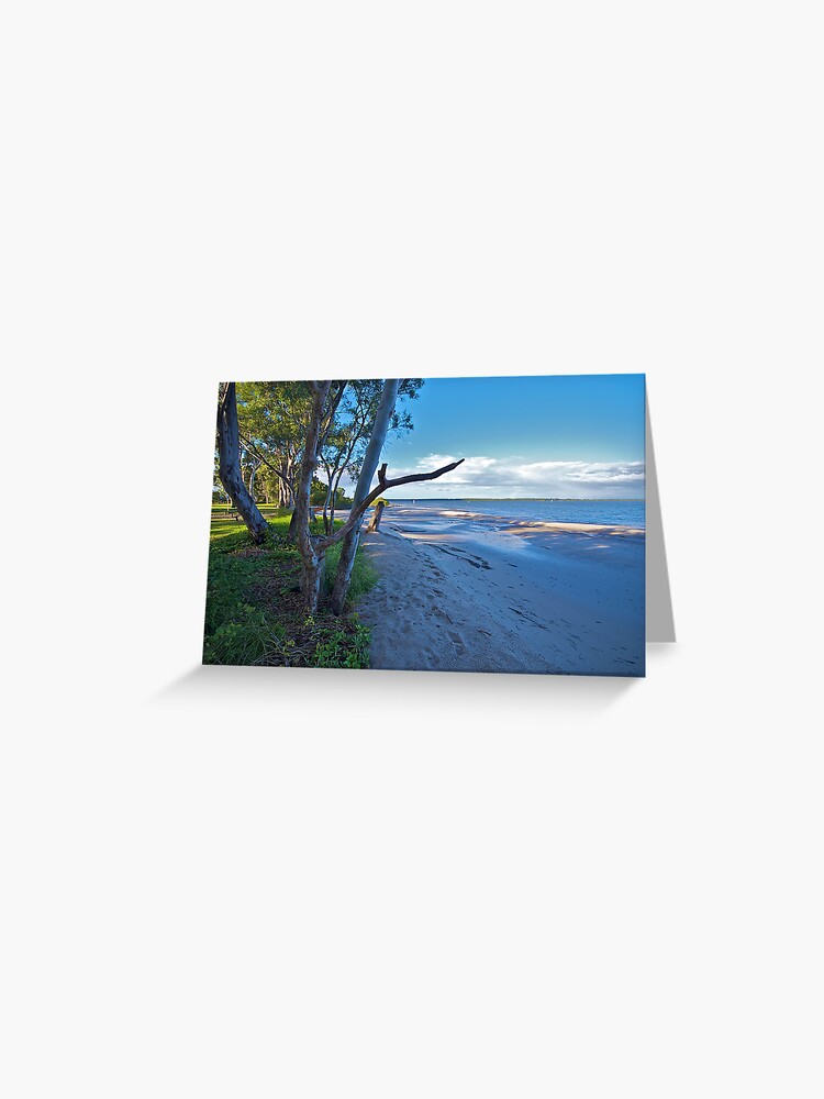 Nature On Show Banksia Beach Bribie Island Greeting Card By Ausurfer Redbubble