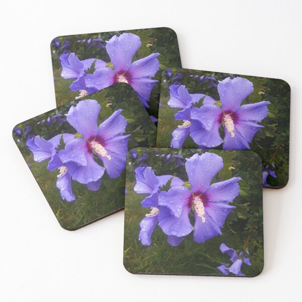 Item preview, Rose of Sharon designed and sold by PATRICK SHELTON.