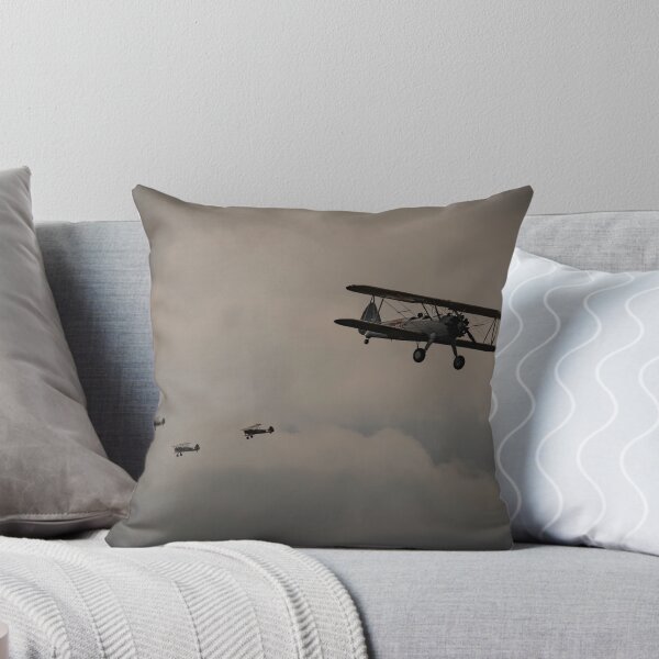 Item preview, Steerman  designed and sold by Dave Parrish Photography.