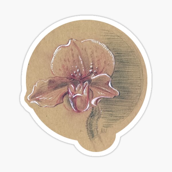 Orchid Study on Brown Paper Sticker Sticker