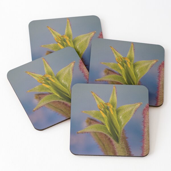Item preview, Pink Kangaroo paw designed and sold by DPalmer.