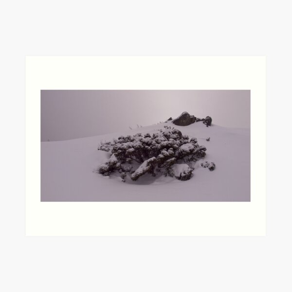 Feathertop Art Print