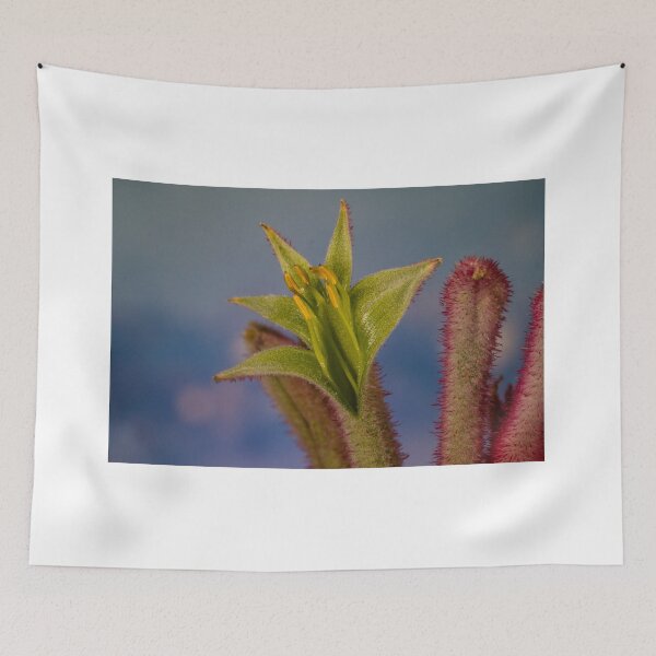 Item preview, Pink Kangaroo paw designed and sold by DPalmer.