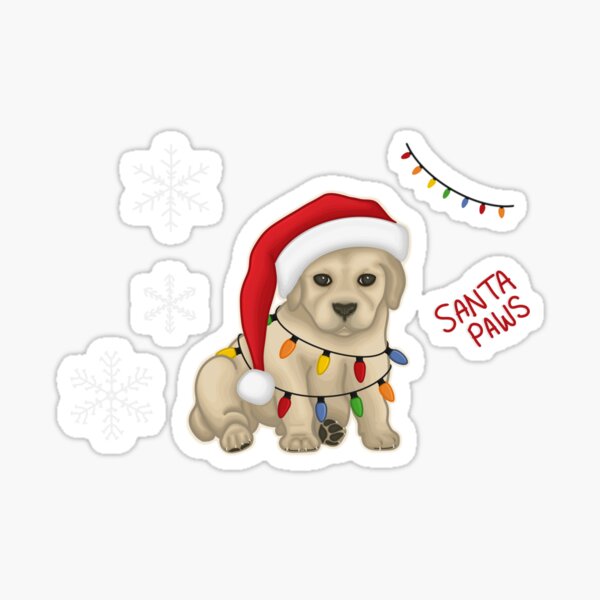 Santa Paws - Labrador puppy in a hat tangled in christmas lights Sticker