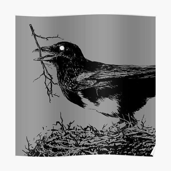 Magpie Poster